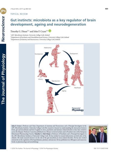 Gut Instincts Pdf Microbiota Hippocampus