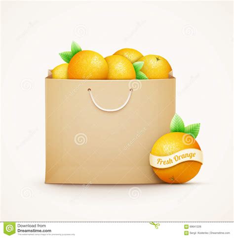 Panier De Papier Avec Des Oranges Illustration De Vecteur