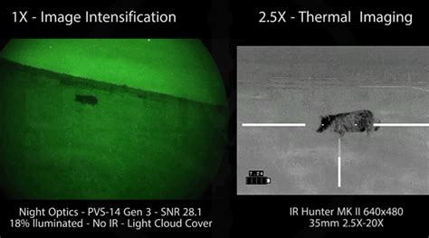 Pvs 14 Vs Thermal Weapon Sight For Hog Hunting Ultimate Night Vision