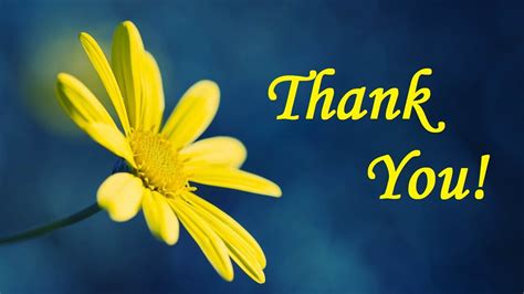 145 Thank You Messages Wishes And Quotes What To Write In A Thank