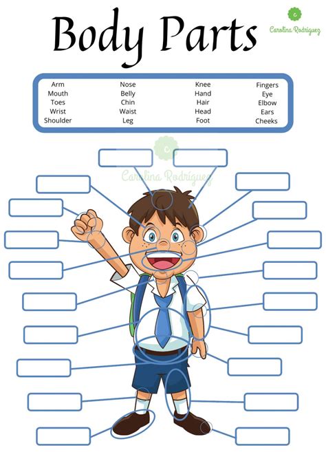Body Parts Online Exercise For Elementary