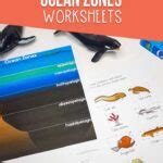 Ocean Zones Worksheets for Kids