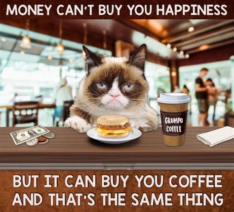 Grumpy Cat Coffee ☕️ Grumpy Cat Funny Animal Memes Funny Animals