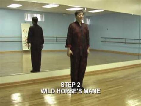 24 forms yang style tai chi quan. Simplified 24 Tai Chi routine | Doovi