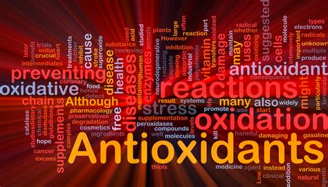 Anti Oxidants And Why Theyre So Important Anti Aging