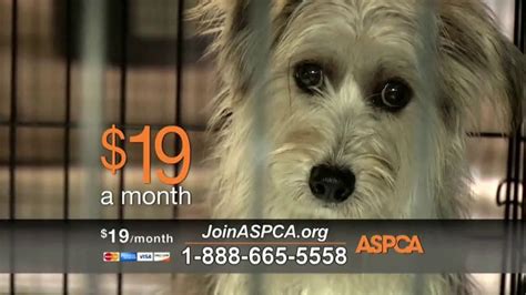 Aspca Tv Spot Prevention Of Cruelty To Animals Month Ispottv