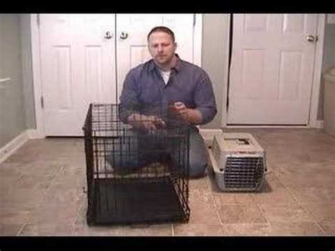 Check spelling or type a new query. HouseBreaking Crate Training A Puppy - YouTube