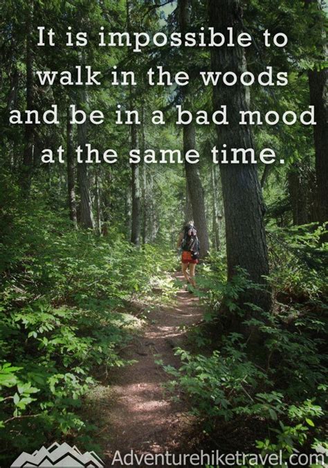 It Is Impossible To Walk In The Woods And Be In A Bad Mood At The Same