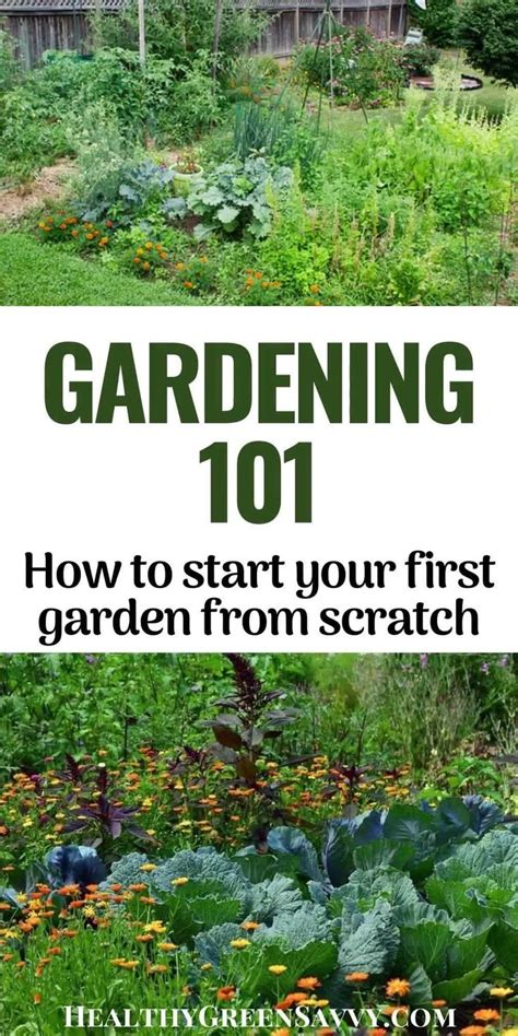 Gardening 101 How To Plant A Garden For Beginners Video Video