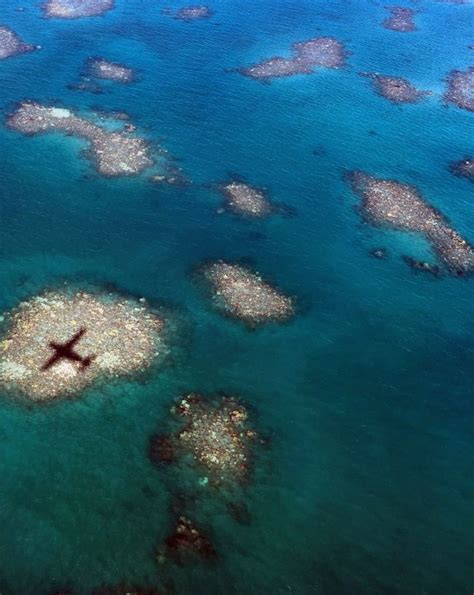 Great Barrier Reef Is Dying Earth Earthsky