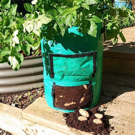 Potato Grow Bags Pack 10 Gallon Potato Growing Bags Potato Planting Bag