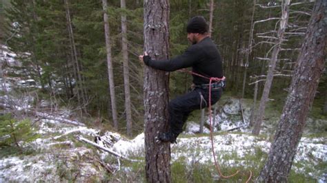 Lumberjack Tree Climbing Dual Survival Discovery