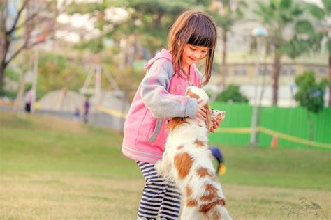 Ensine Seus Filhos A Amar Os Animais E Cuidar Deles Omo