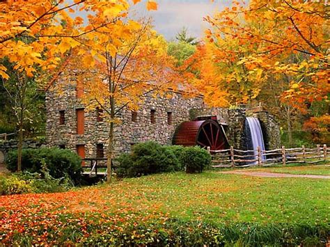 Mill Leaves Fall Trees Autumn Watermill Forest Hd Wallpaper Pxfuel