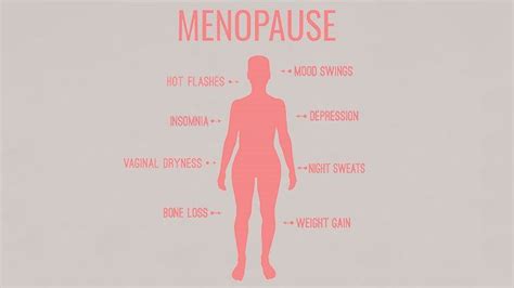 We did not find results for: Menopause at Work: Risk Assessments, Policies & Guidelines ...