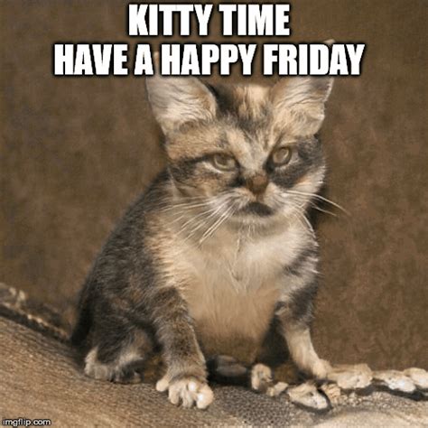 Kitty Time Imgflip