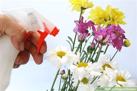 How to air dry flowers. How to Preserve Flowers | How to preserve flowers, Flowers ...