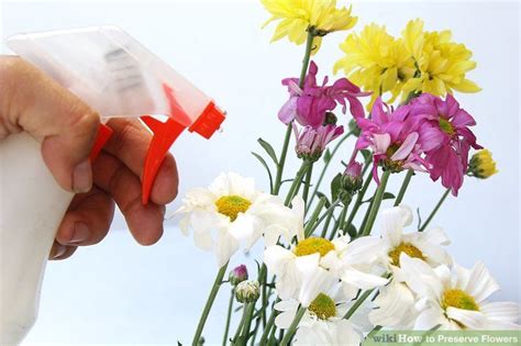 Dipping your flowers in wax won't preserve them forever, but it can extend their use by about six months. How to Preserve Flowers | How to preserve flowers, Flowers ...