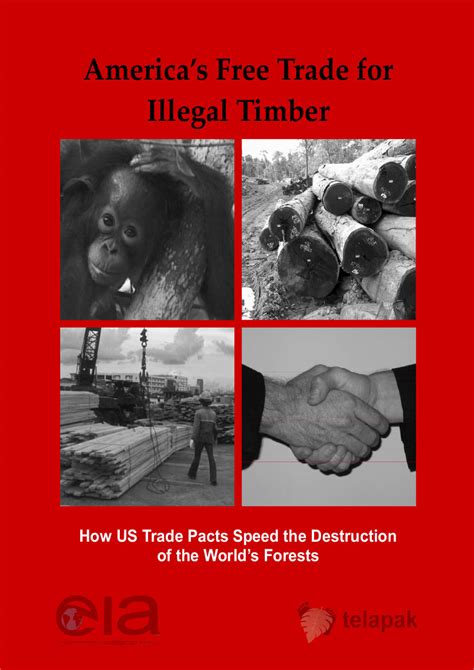 Americas Free Trade For Illegal Timber Eia