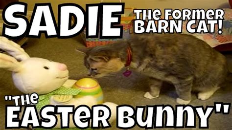 Sadie Meets The Easter Bunny Youtube
