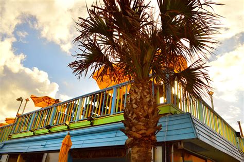 Our Best Bar Pick Makes The Top 10 Florida Beach Bars Beaches Bars