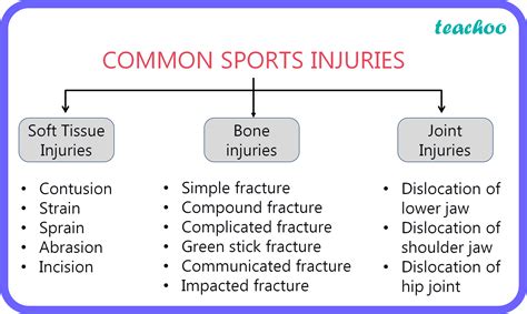 Sqp Create A Flowchart To Explain Classification Of Sports Injuries