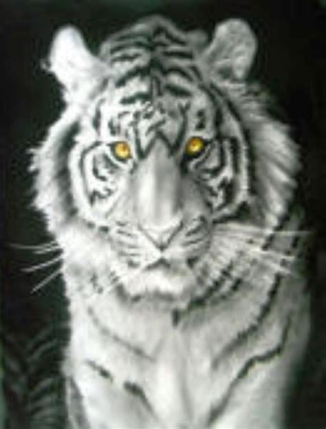 The Tiger Oil Painting By Daniel Patterson Oil Painting Painting