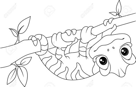 Maybe you would like to learn more about one of these? Chameleon on Branch Coloring Page Illustration , # ...
