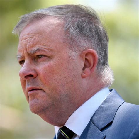 Anthony albanese news from all news portals / newspapers and anthony albanese facebook twitter stats latest anthony albanese news. Anthony Albanese: 'This is an absolute wreck of a ...