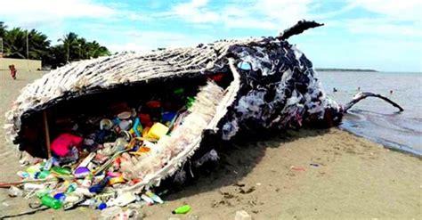 Plastic Pollution Causes Effects Challenges