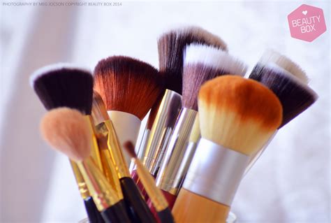 What are the best hairbrushes to try? Beauty Box: Synthetic or Natural Hair Brushes?