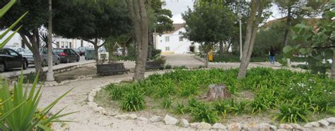The view is nice, could be more clean. Salvaterra de Magos - Visitar Portugal