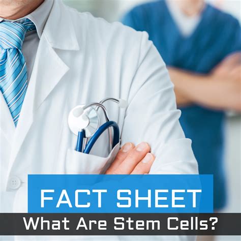 Stem Cell Fact Sheet Types Of Stem Cells And Their Use In Medicine