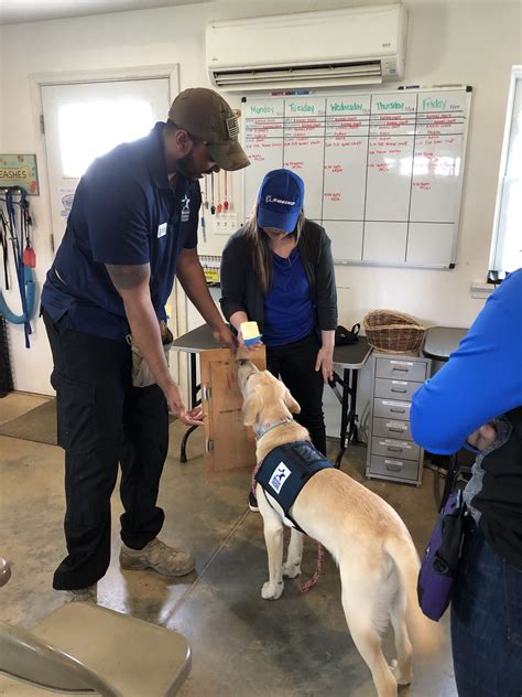 Boeing Employees Learn Service Dog Training Fundamentals Warrior