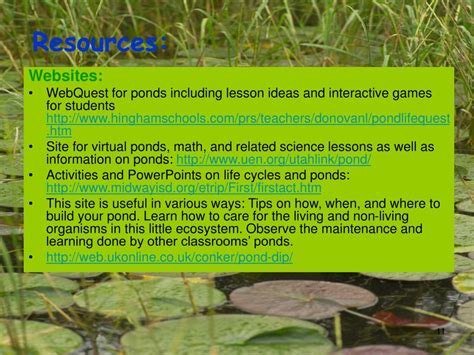 Ppt Our Pond Ecosystem Powerpoint Presentation Free Download Id