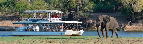 Chobe Sunset Boat Cruise Monkey Trails Safaris