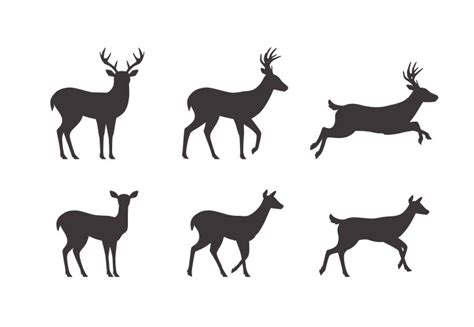 Buck And Doe Silhouette Vector Images Over 870