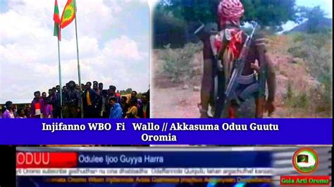 Injifanno Wbo Fi Walloo Akkasumas Oduu Hatattamaa Haala Olmaa Oromia