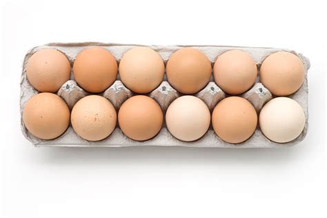 Dozen Eggs Stock Photos Pictures And Royalty Free Images Istock