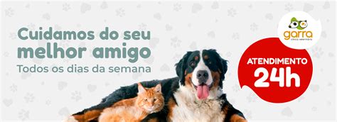 Clínica Veterinária Garra - 24 Horas