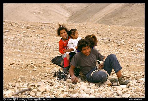 Picturephoto Bedouin Children Playing Judean Desert West Bank