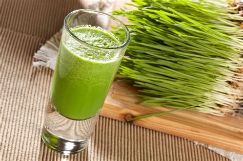 Top 14 Benefits Of Wheatgrass Juice