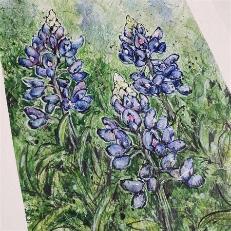 Title Texas Bluebonnet Mixed Media Media Archival Print Signed By The