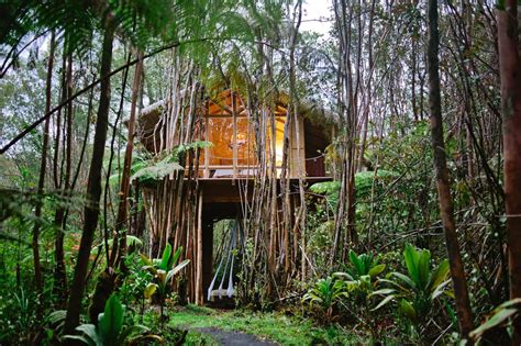 Hawaiis Dreamy Jungle Tree Houses Are Part Of Growing Trend