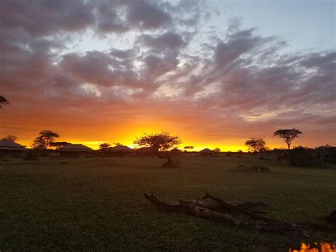 Michaelpocketlist Sunset Over The Serengeti Tanzania Oc 4032x2034