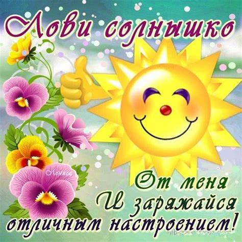 Первый день диеты прикол