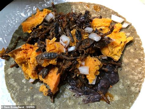 Teen Swaps Out Meat For Insects And Eats Grasshopper Burritos Grilled