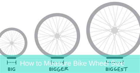 How To Measure Bike Wheel Size Cycling Soigneur