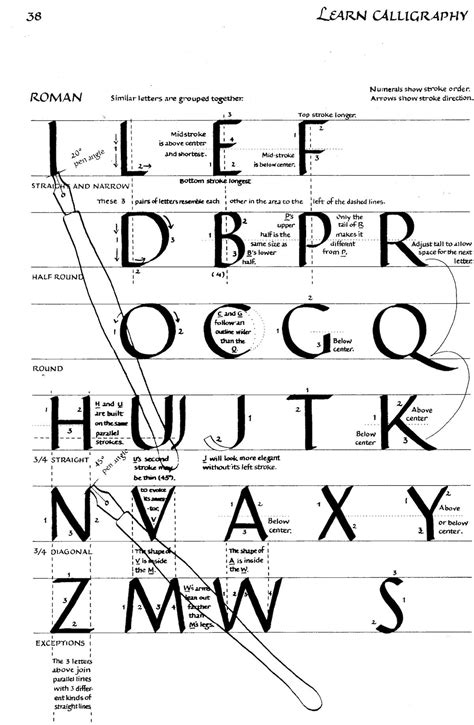 Calligraphy Strokes Of Roman Alphabet Lissimore Photography