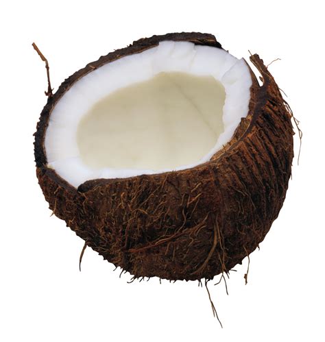 Coconut Png Image Transparent Image Download Size 2167x2282px